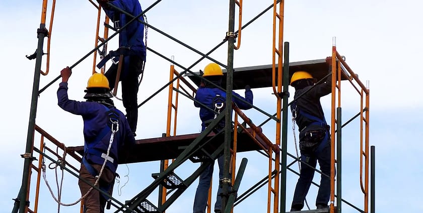 Scaffold NY